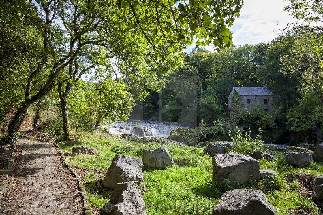 "Cenarth Falls" stock image