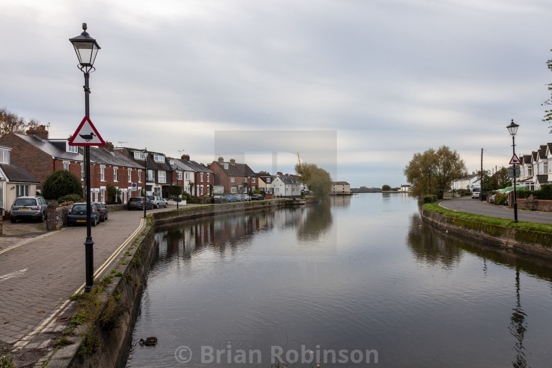 "Mill Pond" stock image