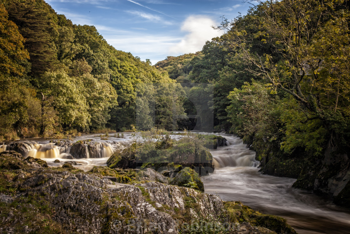 "Cenarth Falls" stock image