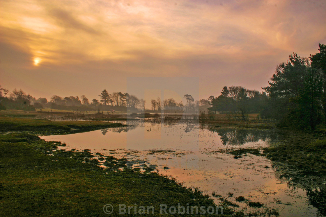 "New Forest Sunrise" stock image