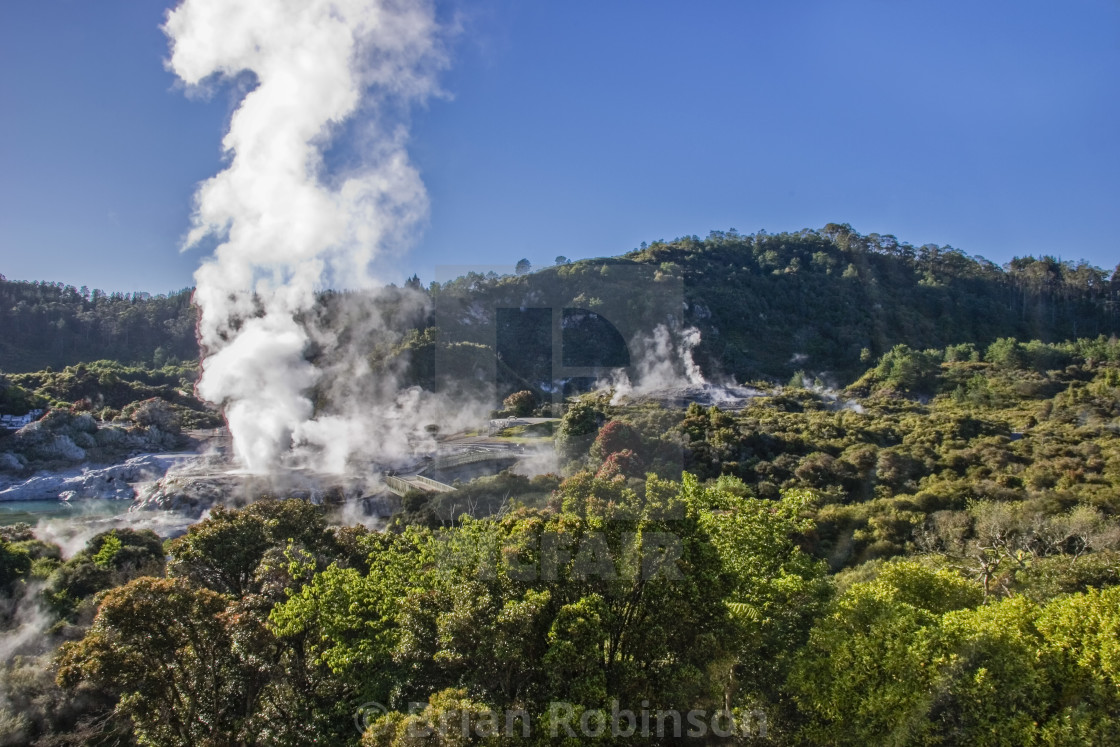 "Rotorua" stock image