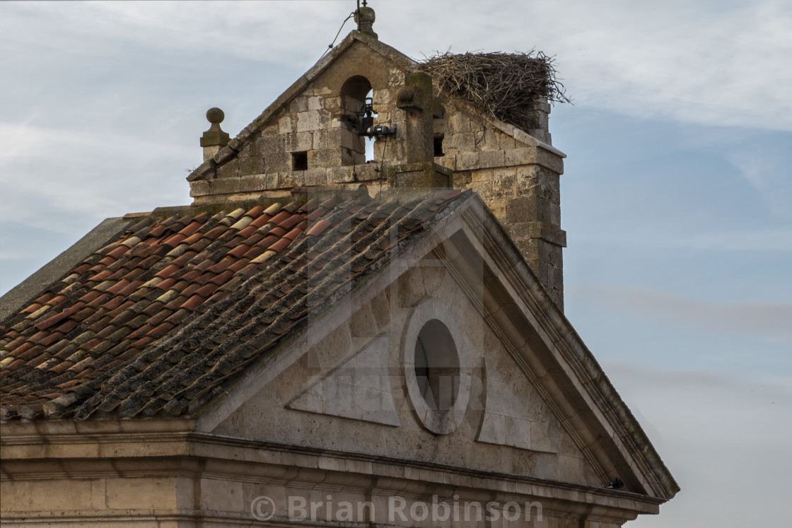 "Stork Nest" stock image