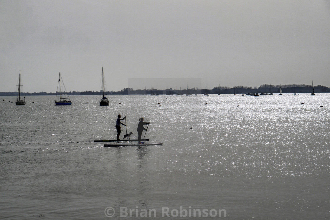 "Paddle Boarders" stock image