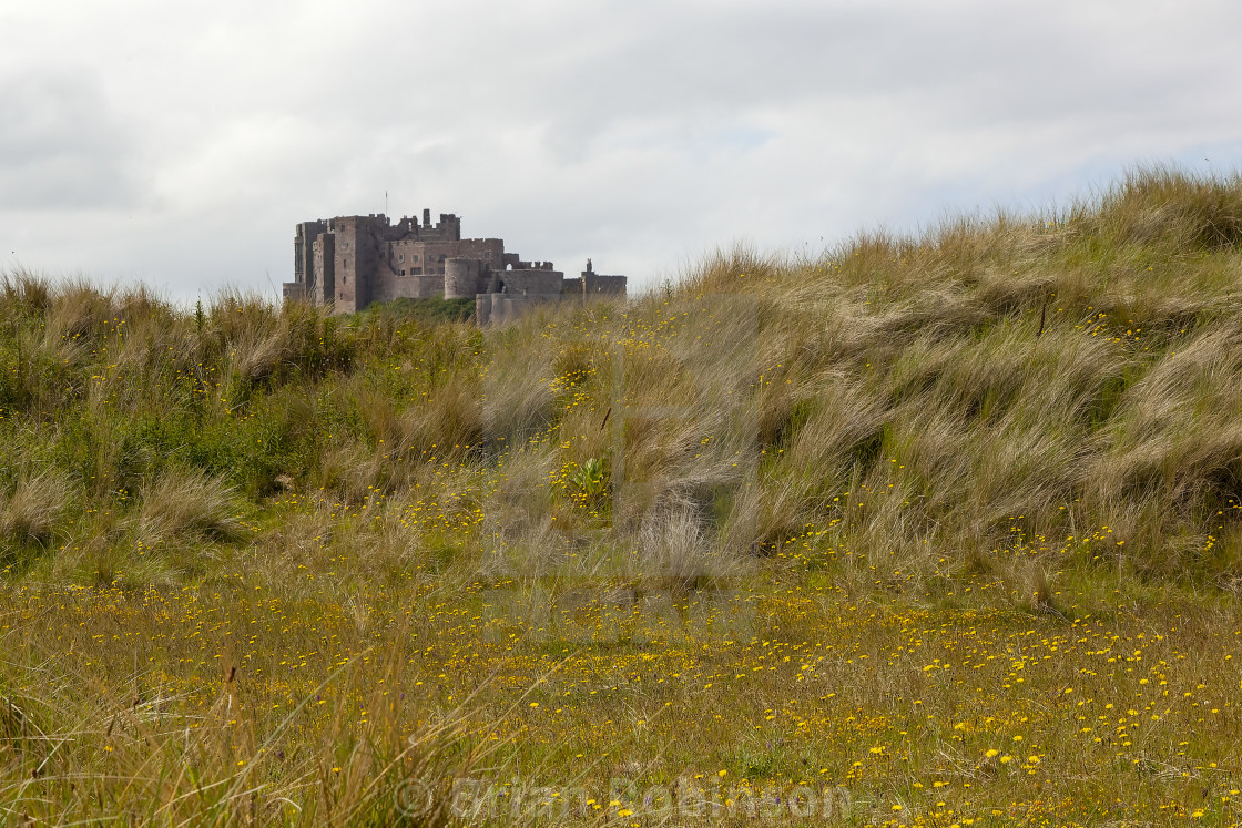 "Bamburgh Castle" stock image