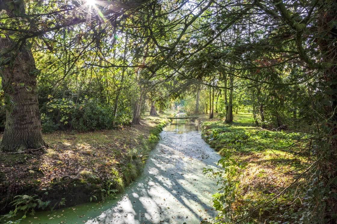 "Ranworth Stream" stock image