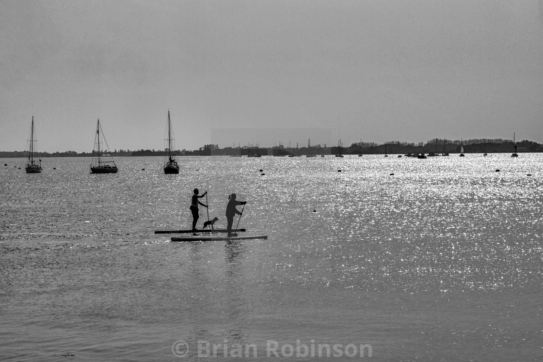 "Paddle Boarders" stock image