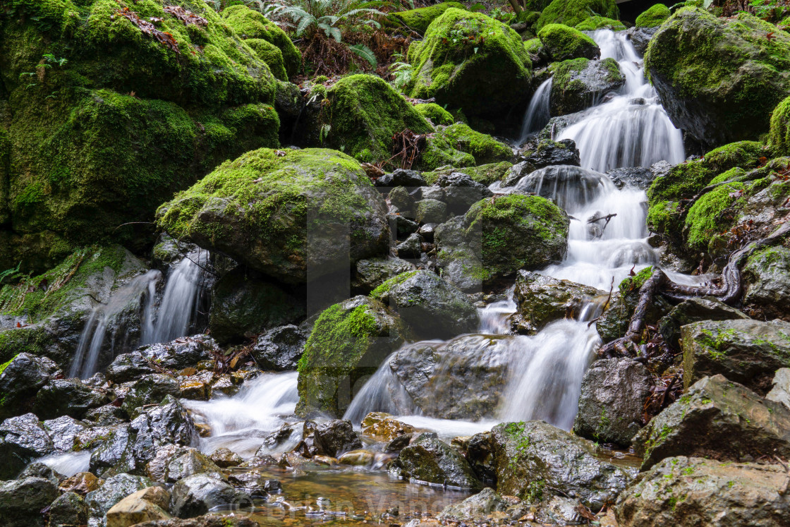 "Water Flowing Over Moss" stock image