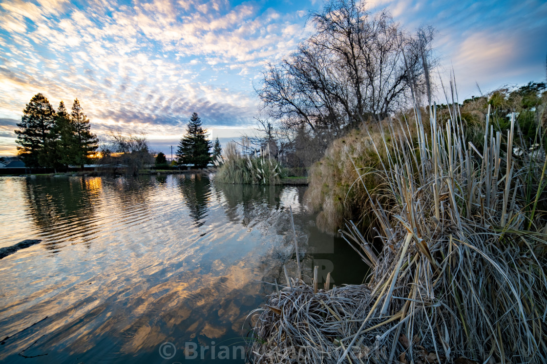 "Pixieland Duck Pond, Concord, CA, 2021" stock image