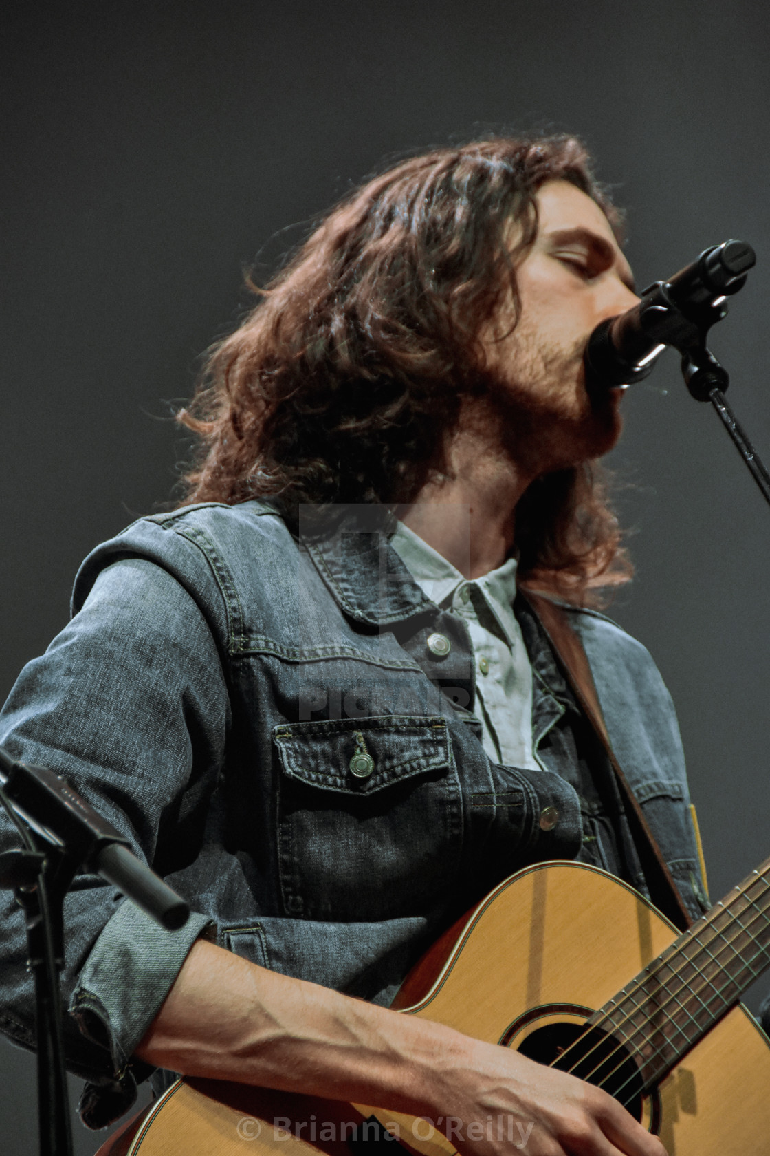 "Hozier, Live on Stage" stock image