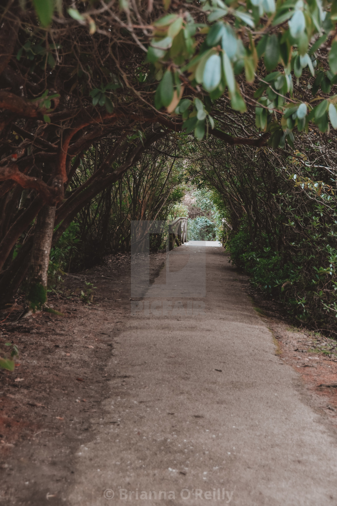 "A natural path" stock image