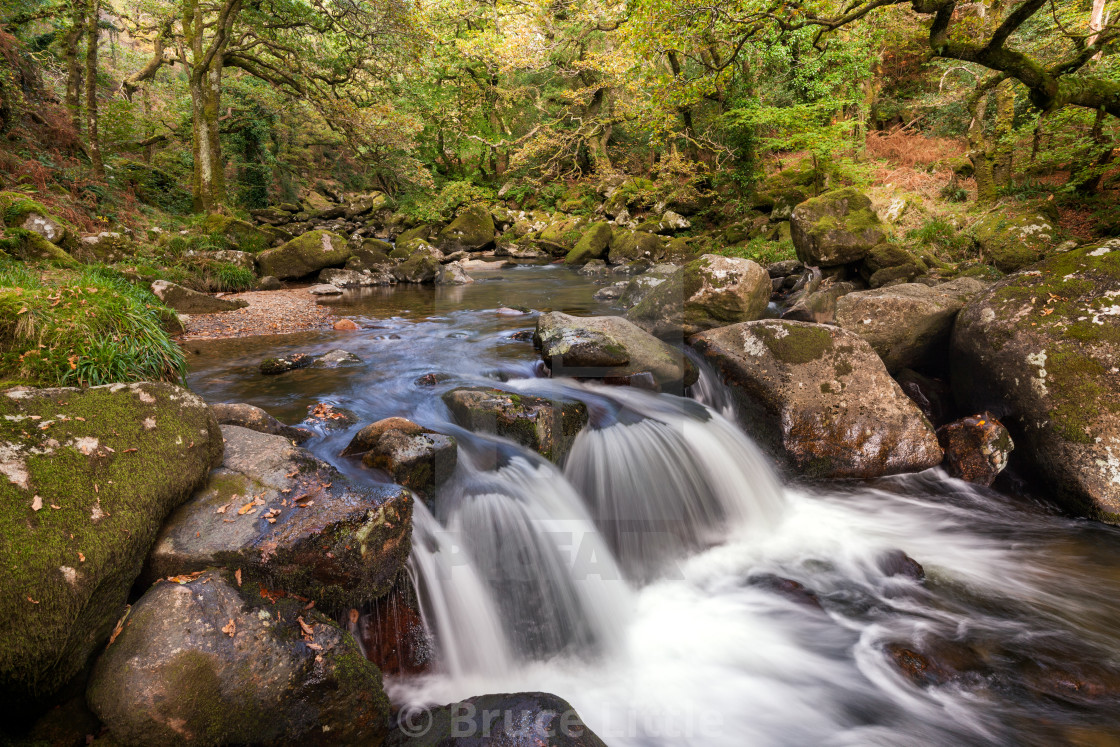 "Falls on the Plym, Dewerstone Woods" by Bruce Little - $30.86 "Falls on the Plym, Dewerstone Woods" stock image