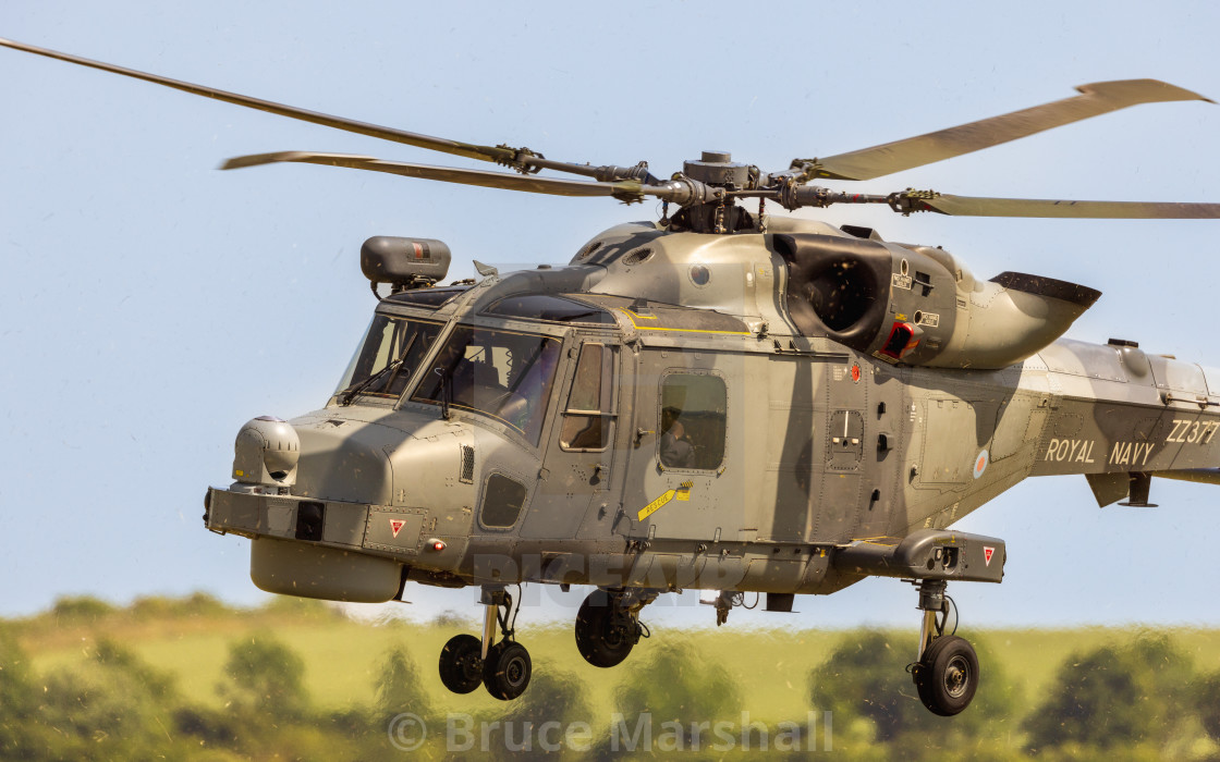 "Royal Navy Wildcat stirring up the grass" stock image