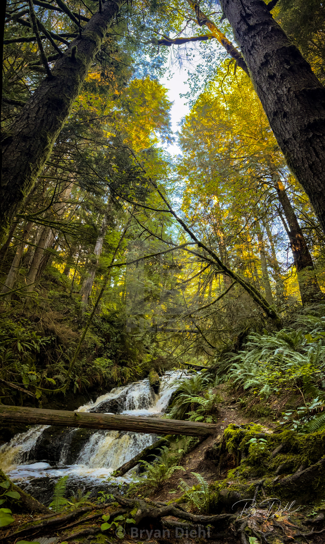 "Ludlow Falls" stock image