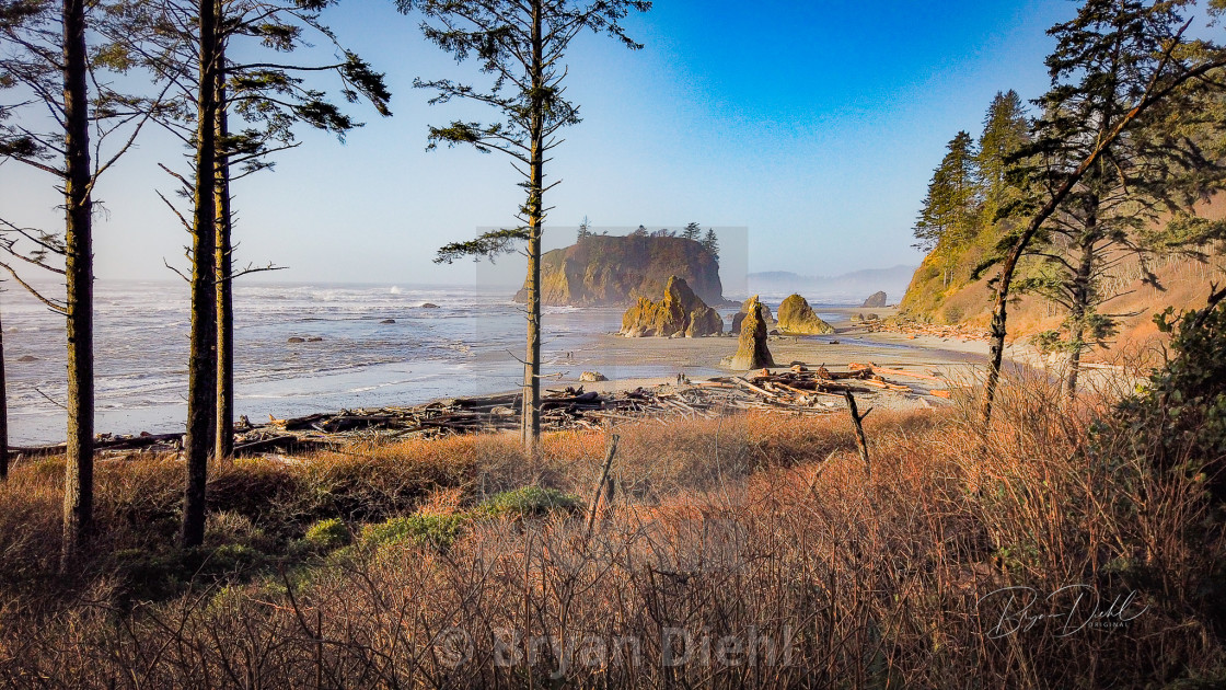 "Ruby Beach" stock image