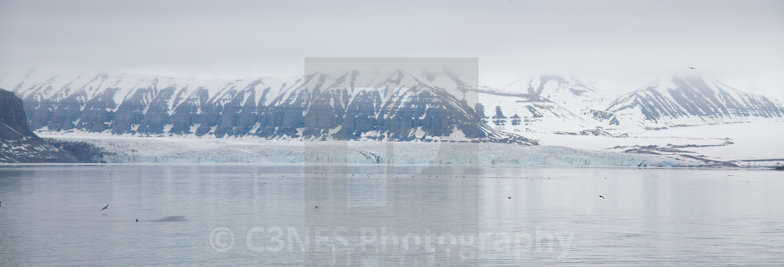 "Glacier on Spirsbergen" stock image