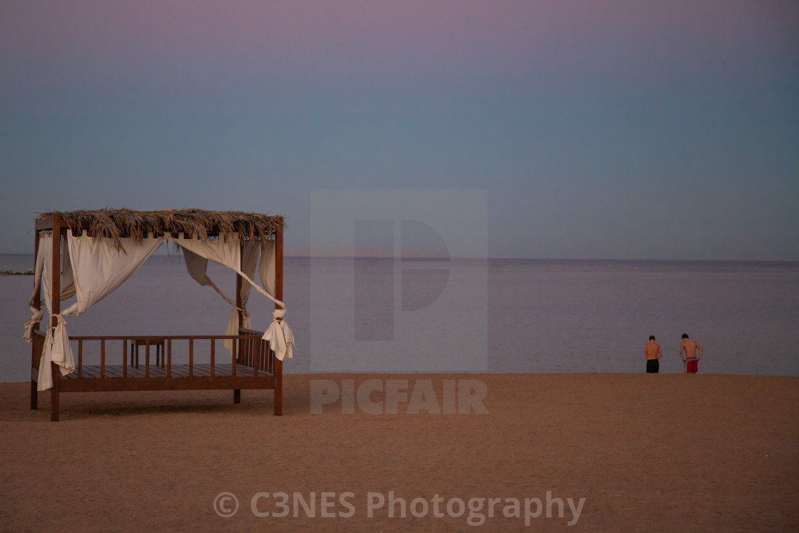 "Evening swim?" stock image