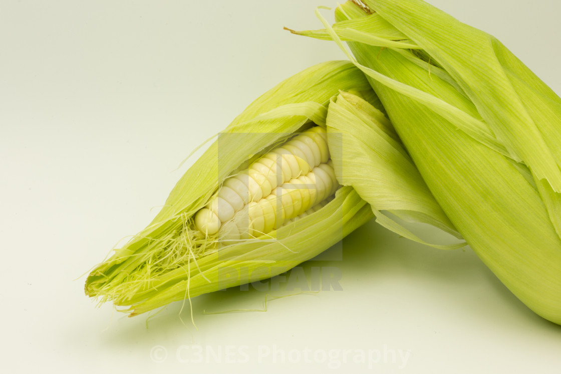 "Peruvian corn" stock image