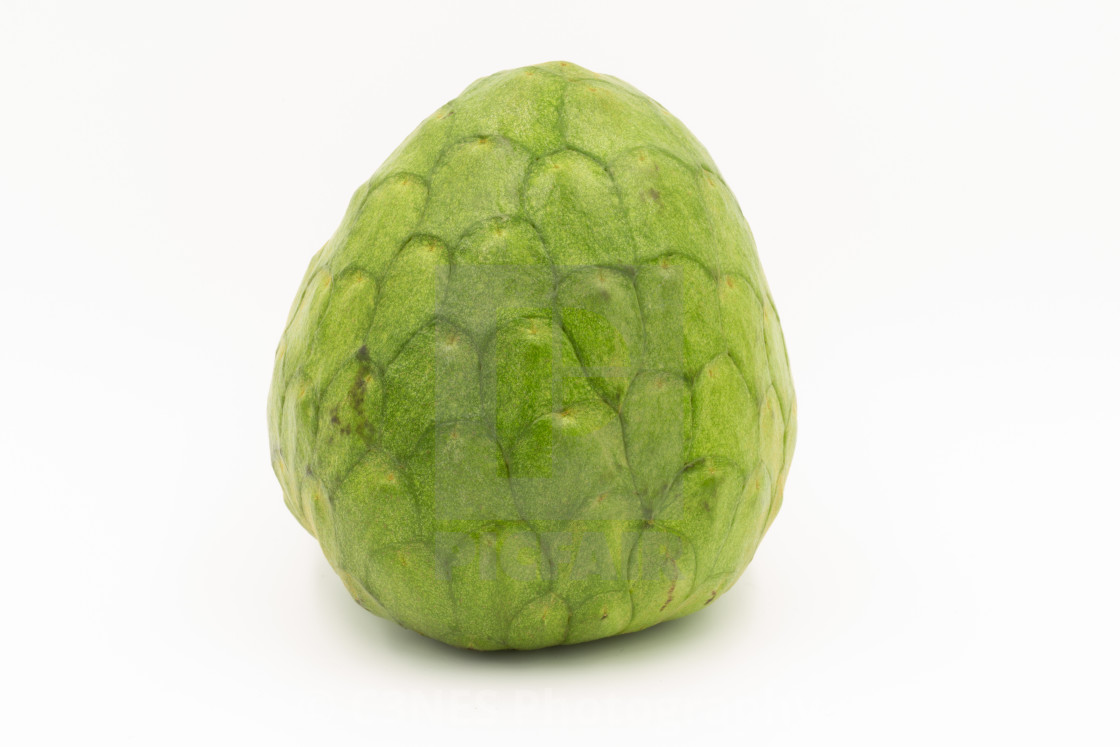 "Cherimoya" stock image