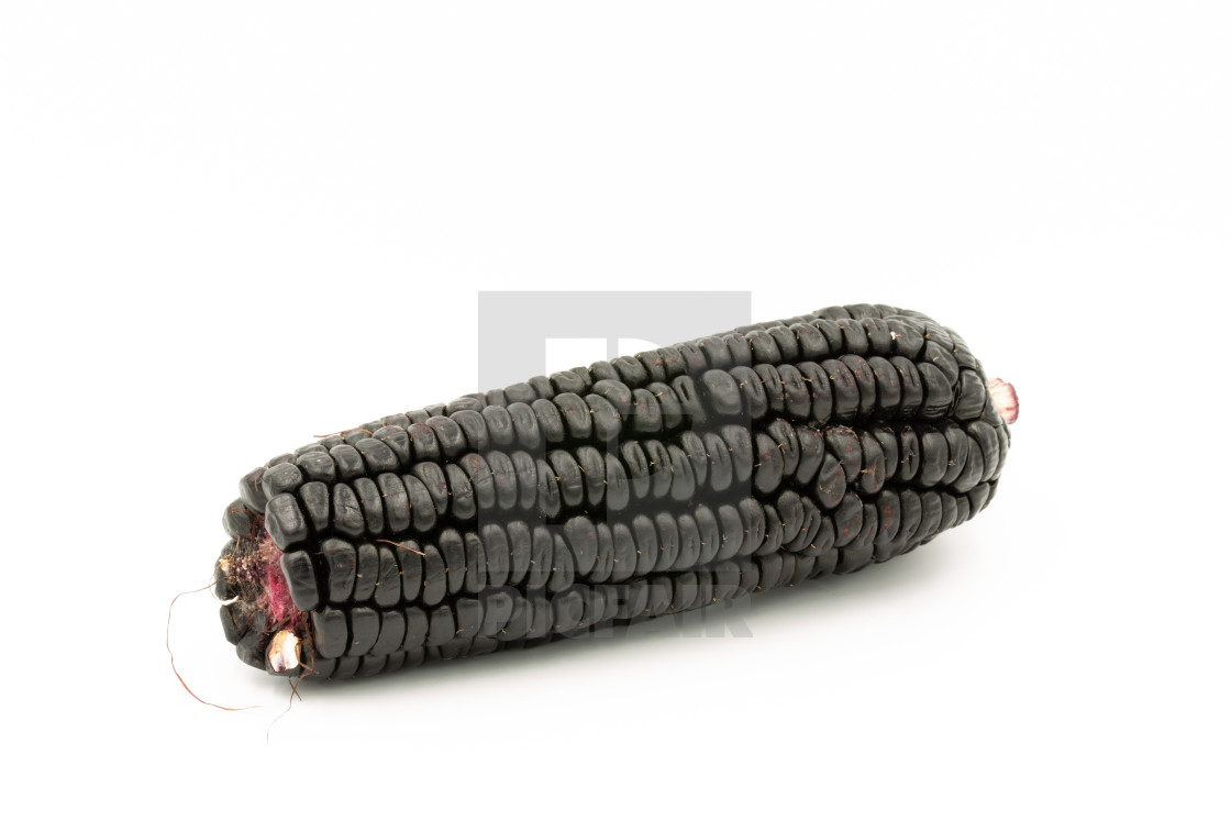 "Purple corn" stock image