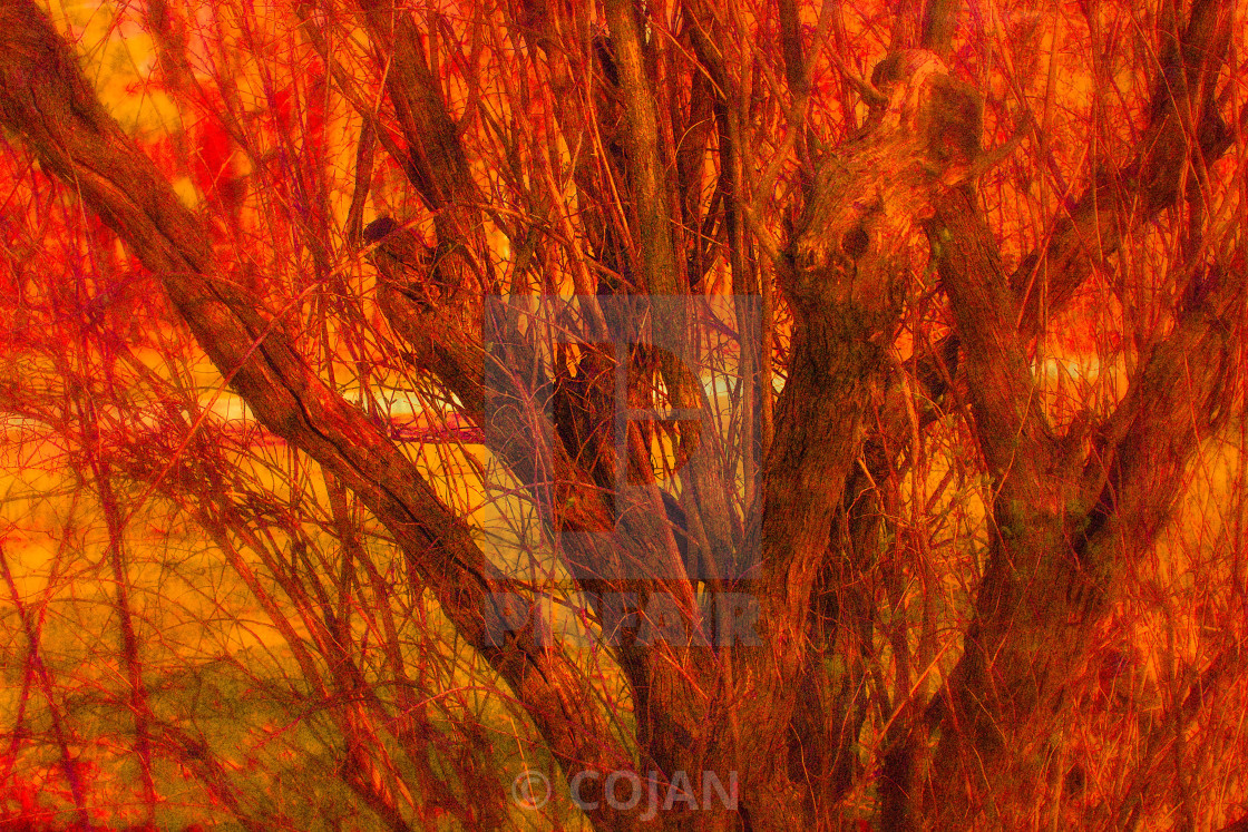 "«R E D»" by COJAN - £74.40 "«R E D»" stock image