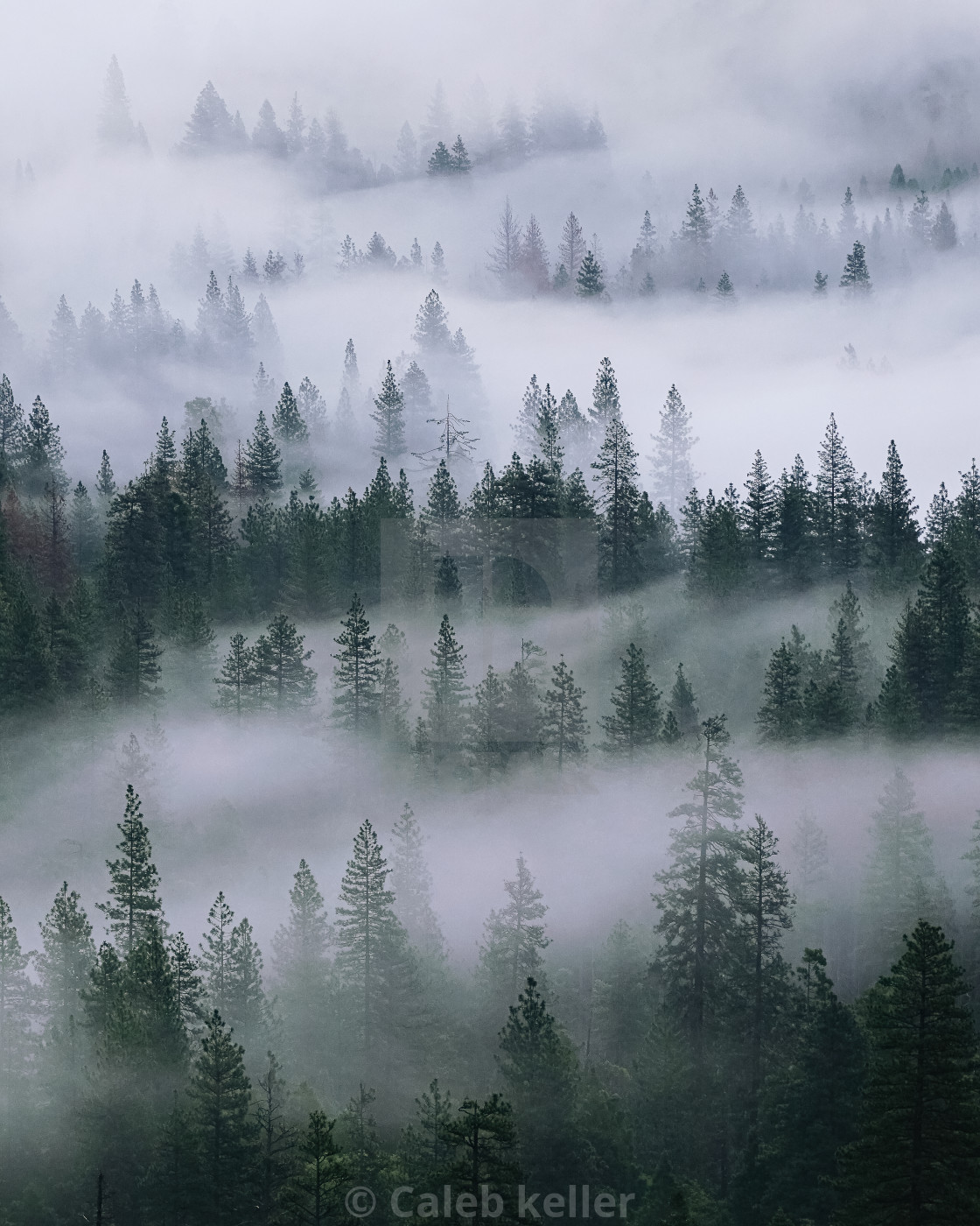 "first glimpse of Yosemite valley" by Caleb keller - $14.81 "first glimpse of Yosemite valley" stock image