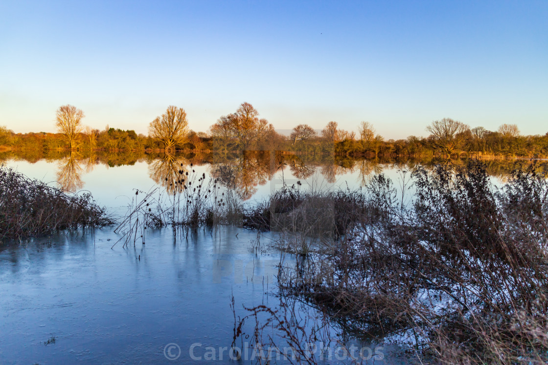 "Flooded winter fenland" stock image