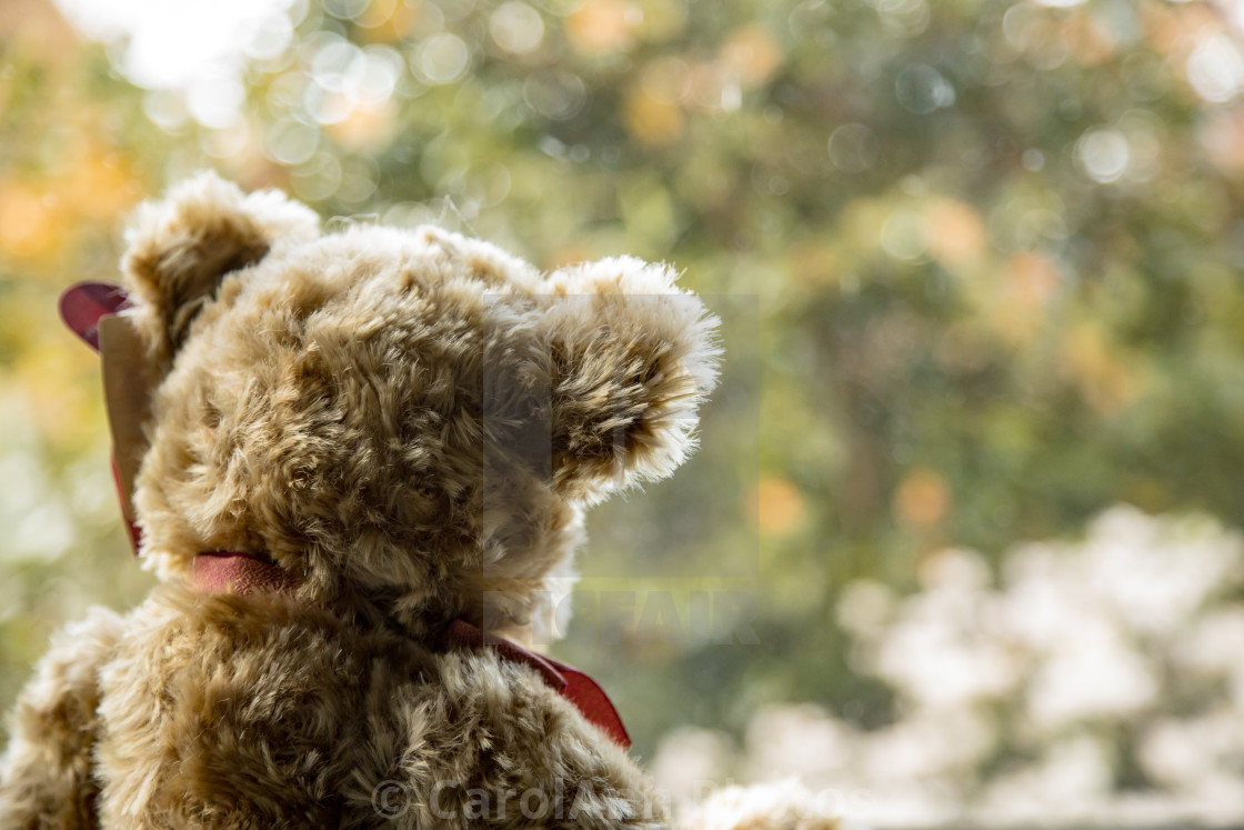 "I can't bear to go outside" stock image