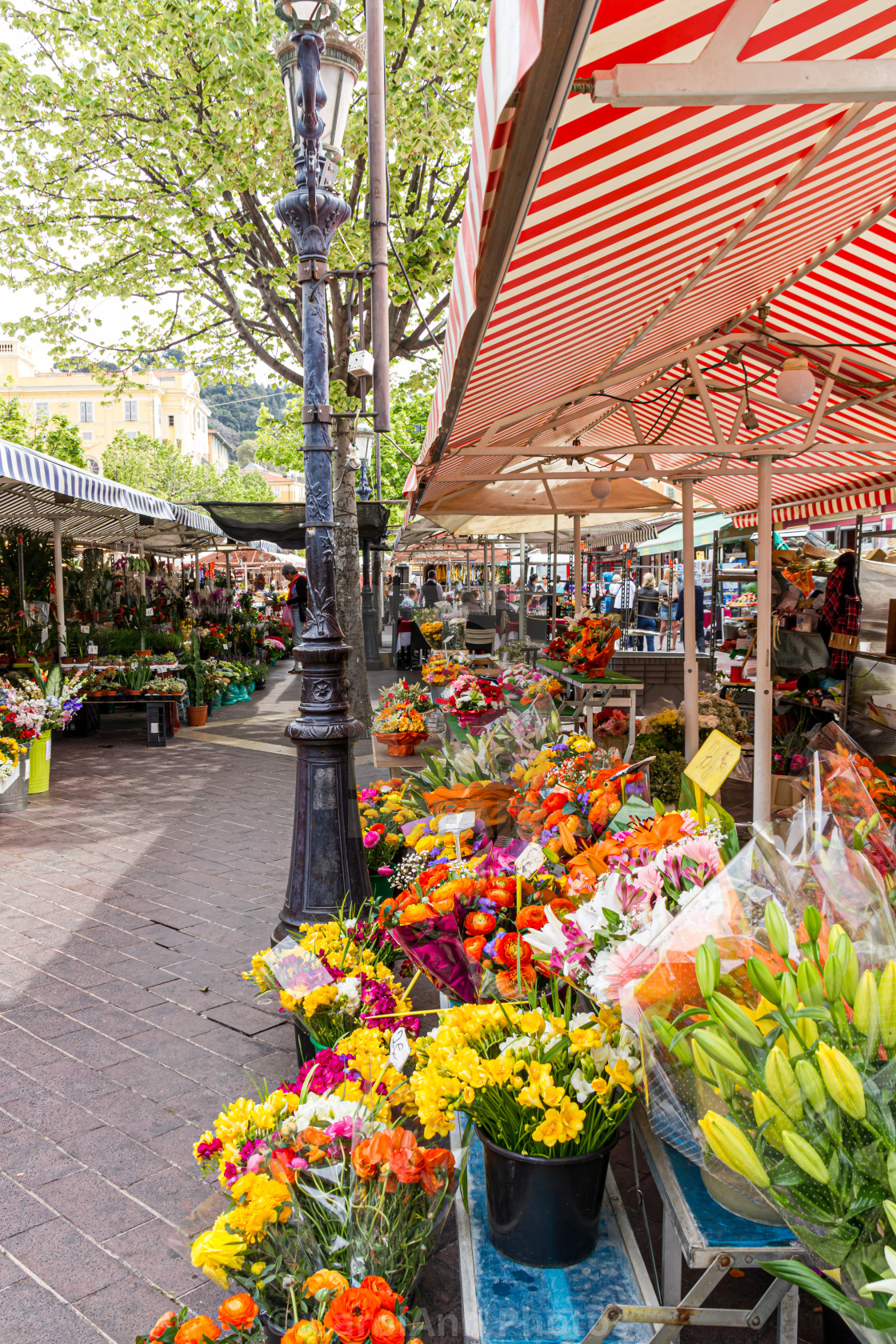 "The flower market, Nice" stock image