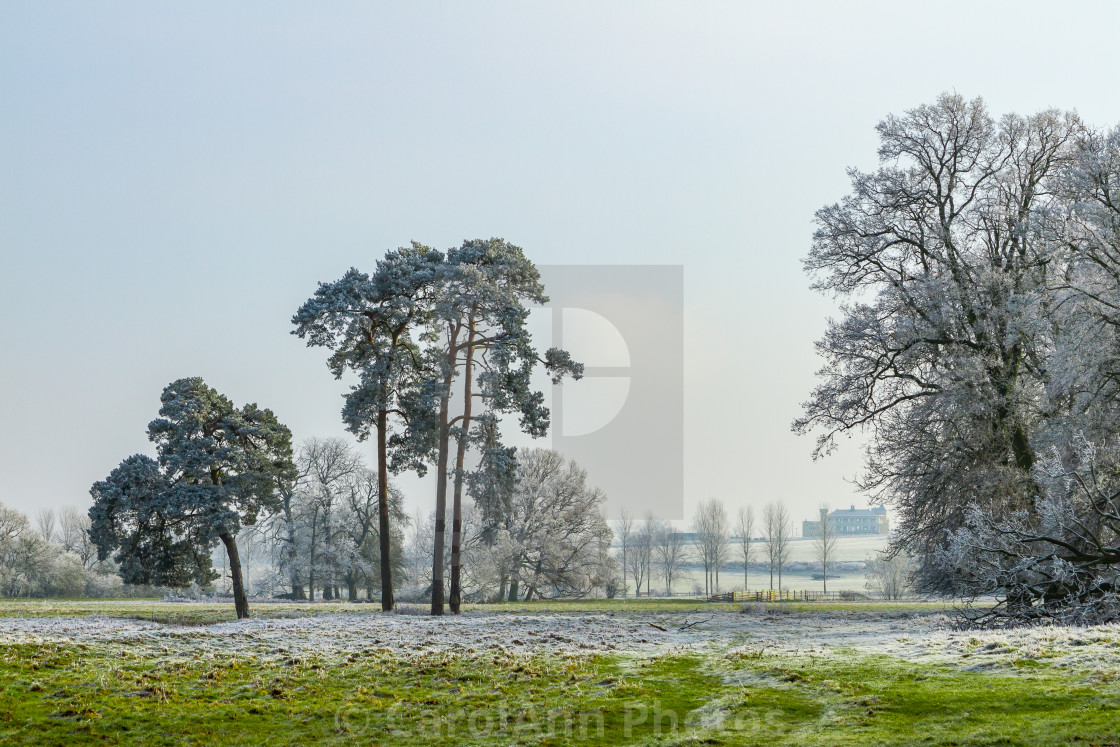 "Towcester Water Meadows" stock image