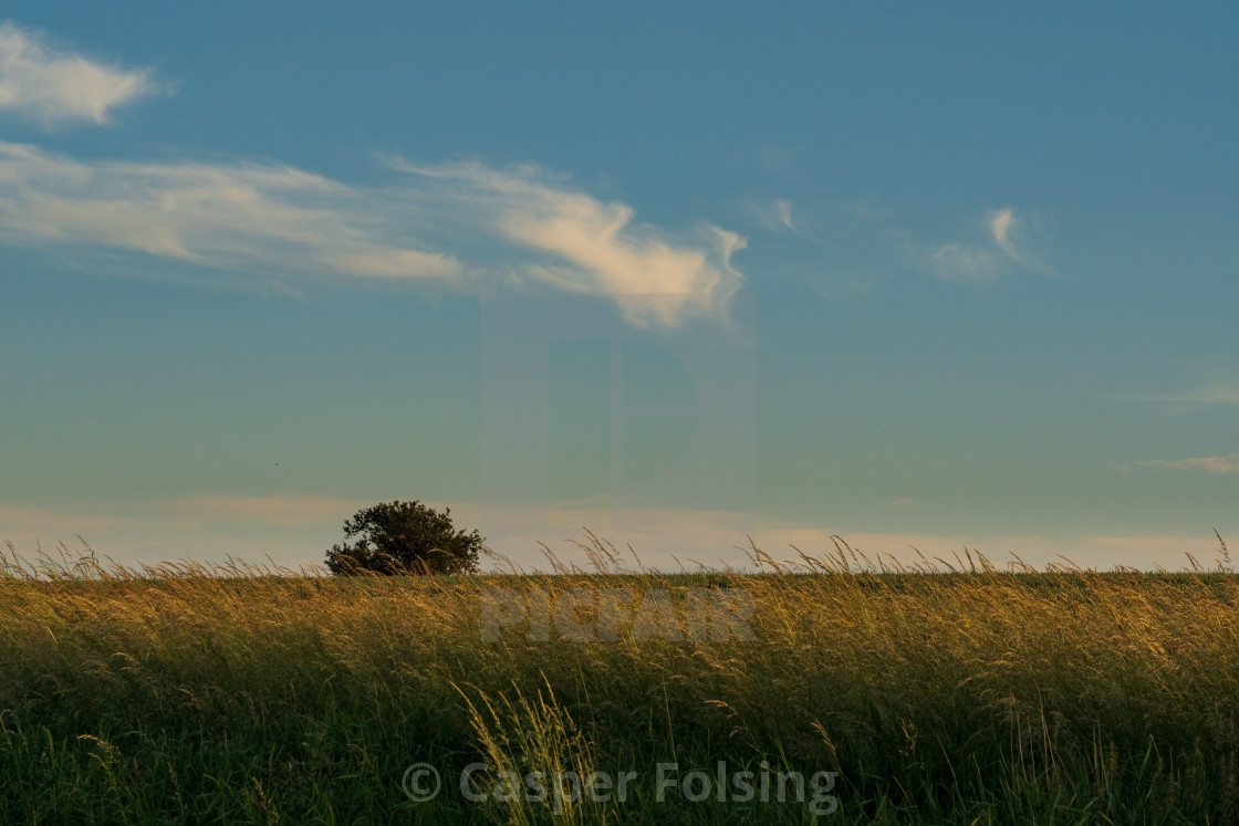 "A summer evening" by Casper Folsing - $15.31 "A summer evening" stock image