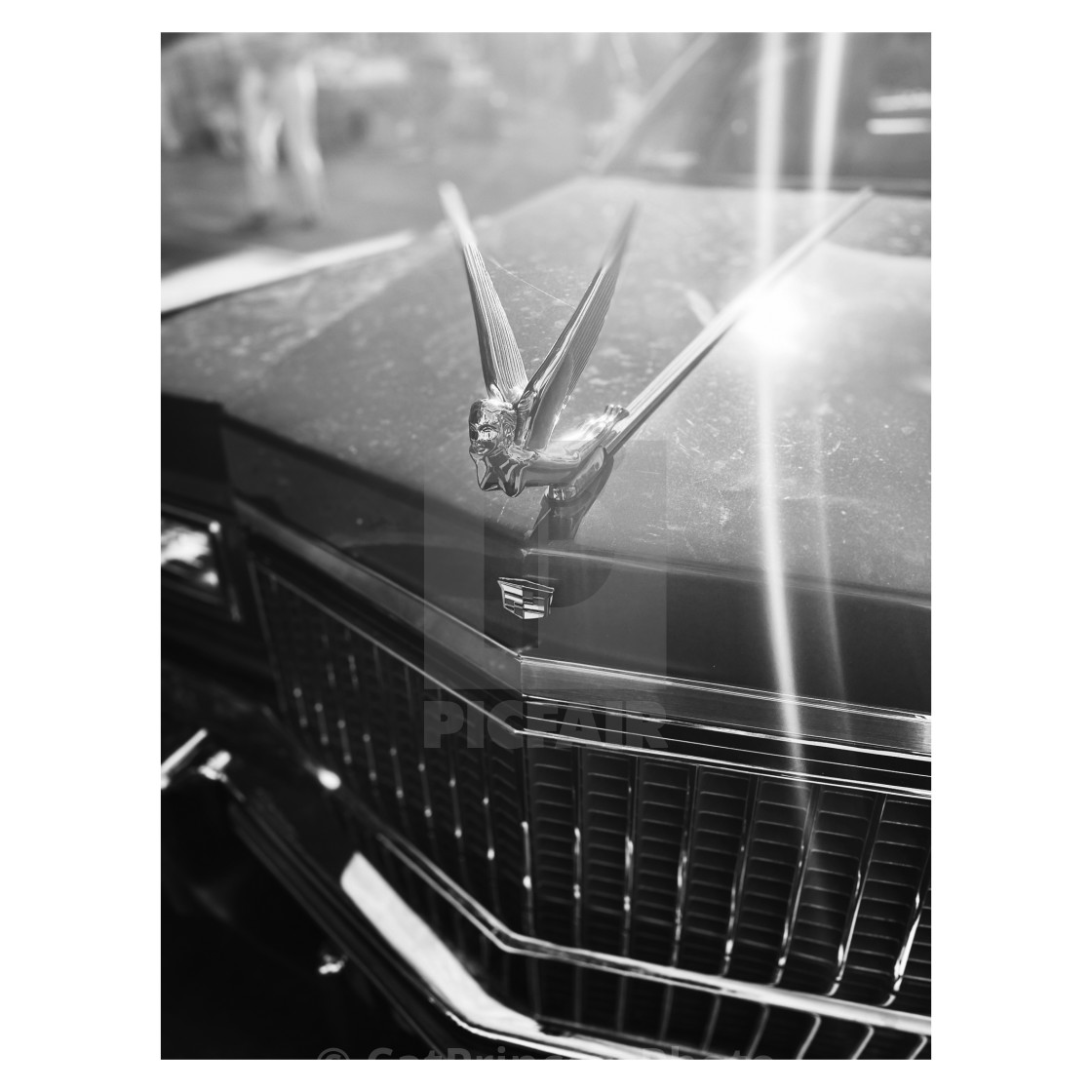"Cadillac Coup de Ville, 2020, NY. 2/5" by CatPrincessPhoto - $38.60 "Cadillac Coup de Ville, 2020, NY. 2/5" stock image