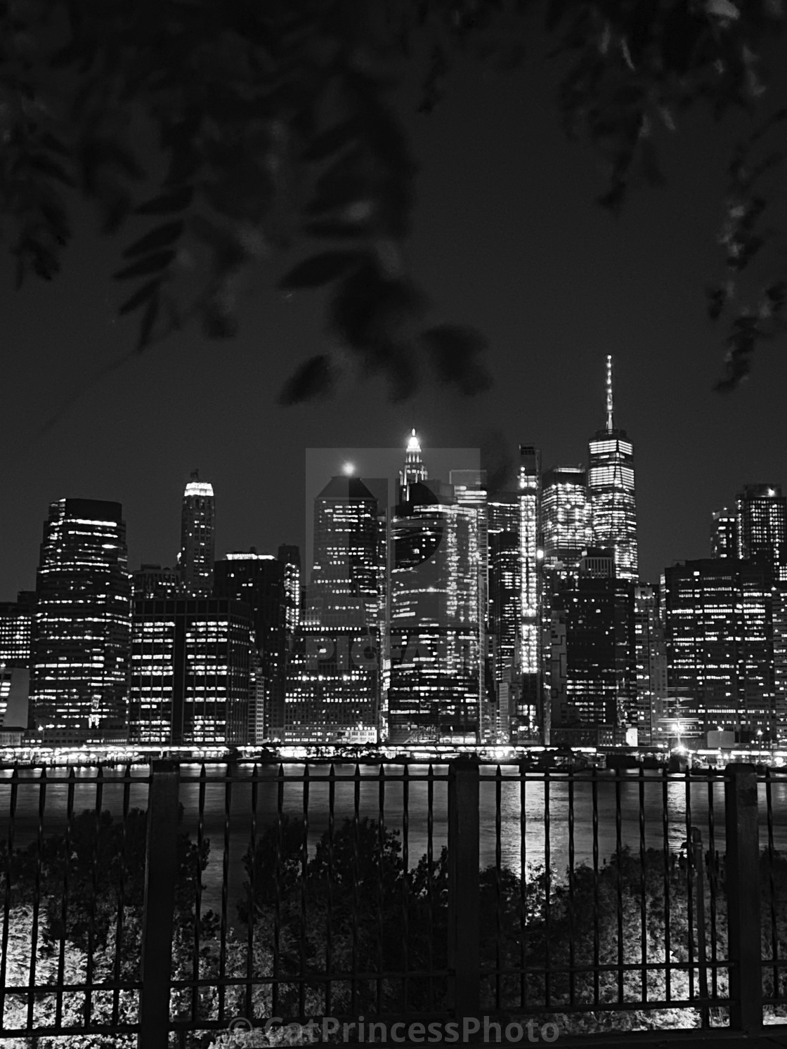 "Manhattan view from Brooklyn Promenade, 2020 NY" by CatPrincessPhoto - $38.60 "Manhattan view from Brooklyn Promenade, 2020 NY" stock image