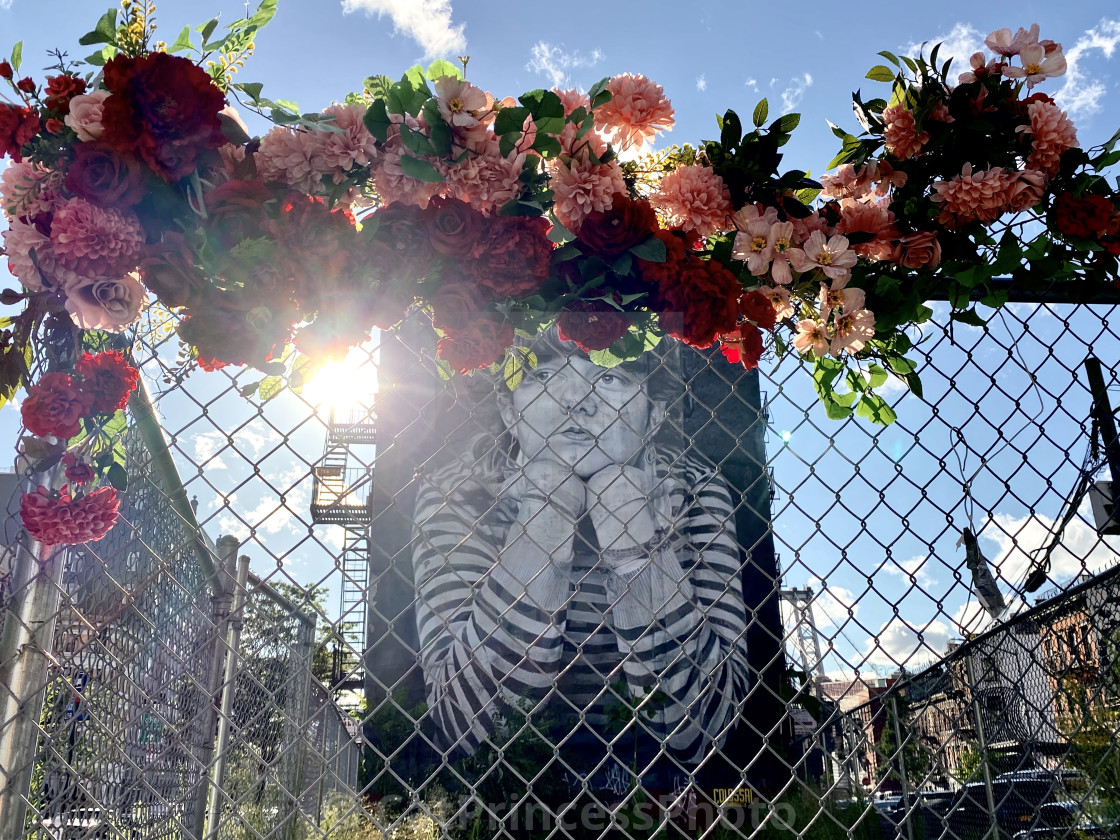"‘MONA LISA OF WILLIAMSBURG’ with flowers, 2020, BROOKLYN, NY" by CatPrincessPhoto - $38.60 "‘MONA LISA OF WILLIAMSBURG’ with flowers, 2020, BROOKLYN, NY" stock image