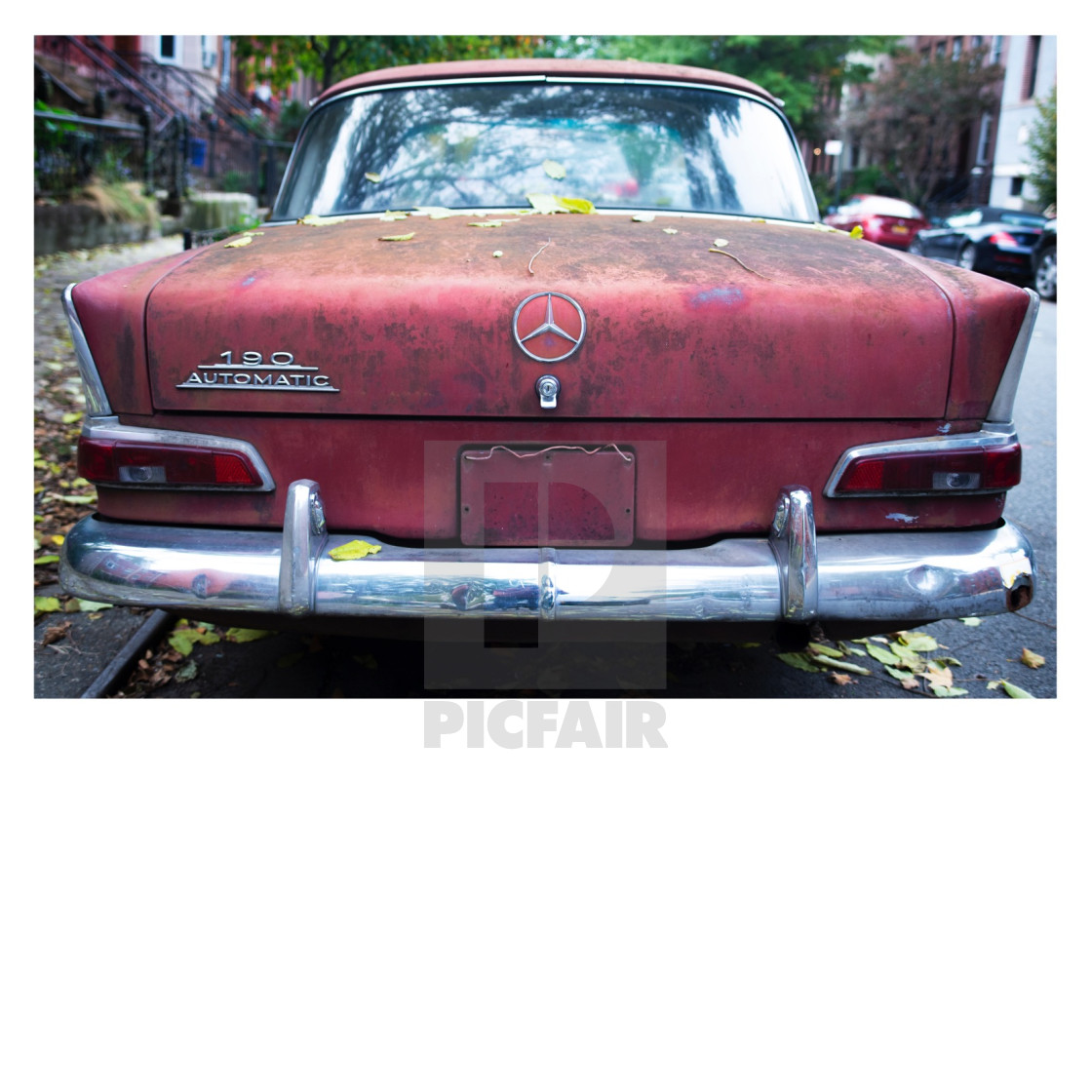 "Mercedes 3, 2020" by CatPrincessPhoto - $71.02 "Mercedes 3, 2020" stock image