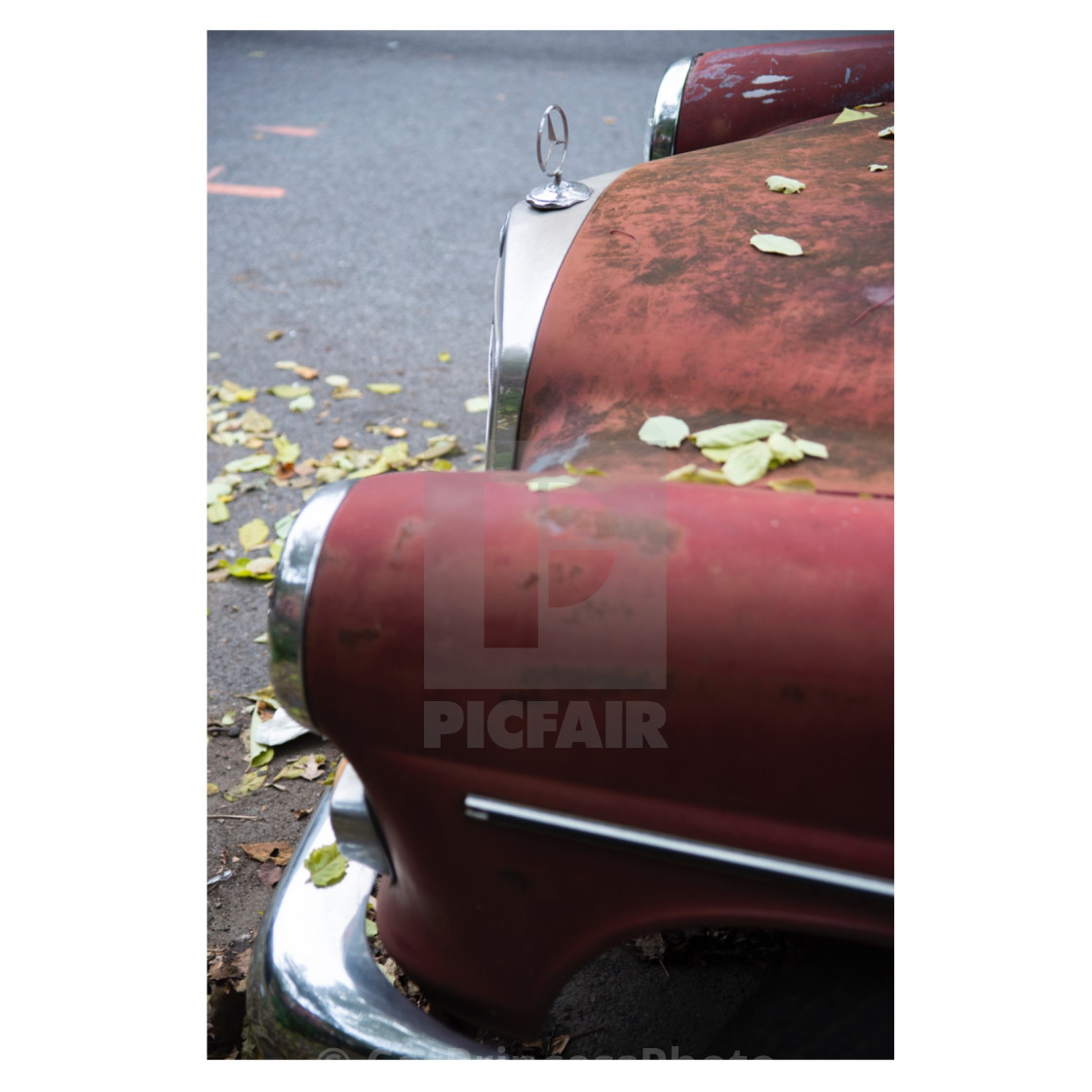 "Mercedes 1. 2020" by CatPrincessPhoto - $71.02 "Mercedes 1. 2020" stock image