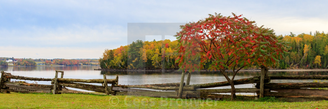 "Fall colors at Kings Landing" stock image