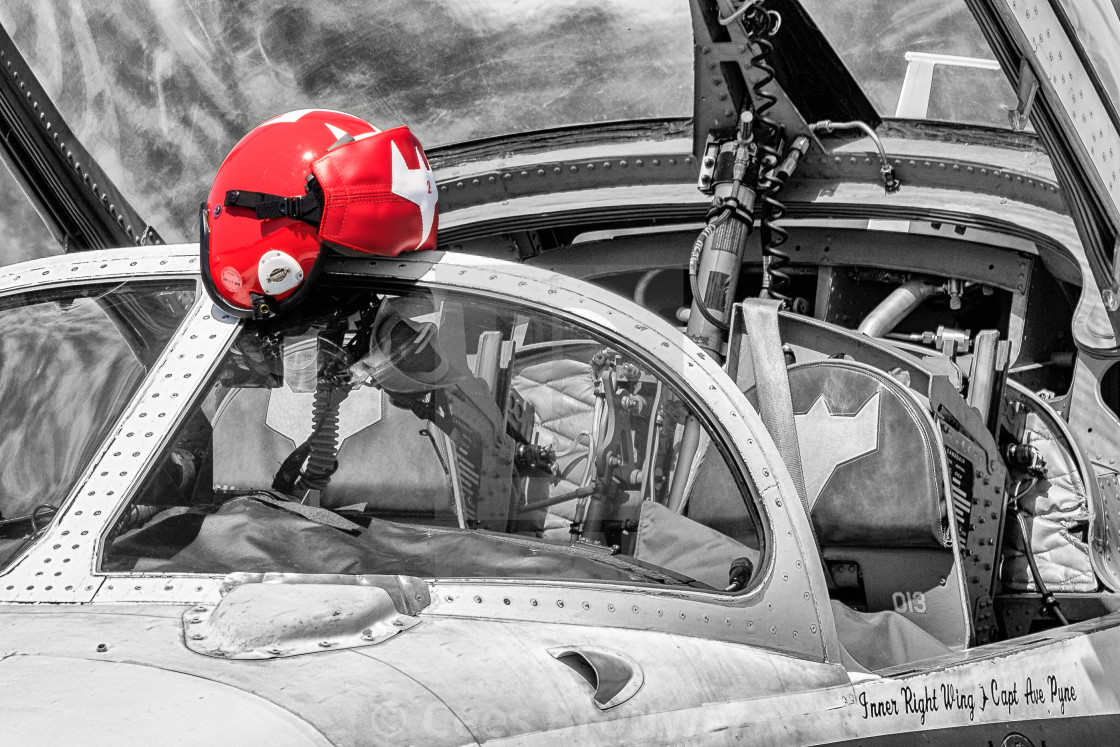 "Snowbirds Tutor in mono color" stock image