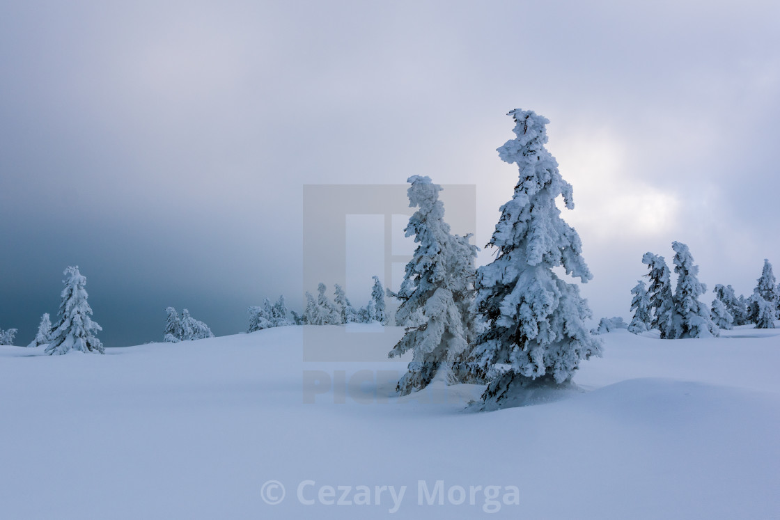 "Penitents of the Karkonosze Mountains" by Cezary Morga - $15.39 "Penitents of the Karkonosze Mountains" stock image