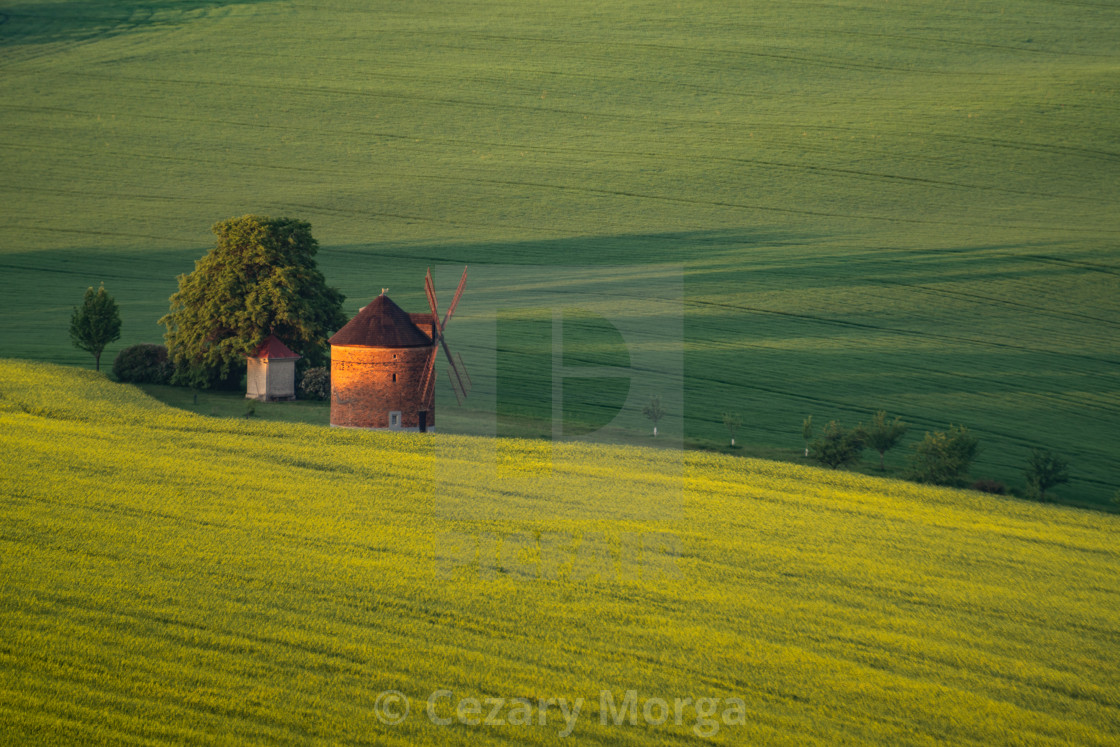 "The Windmill" by Cezary Morga - $15.39 "The Windmill" stock image