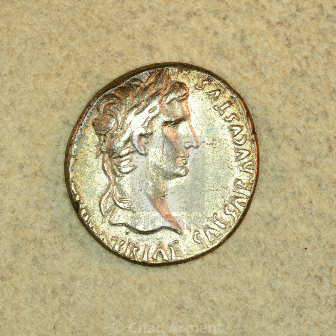"Caesar Augustus Denarius" stock image
