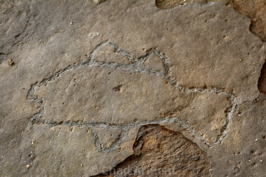 "Fish Petroglyph" stock image