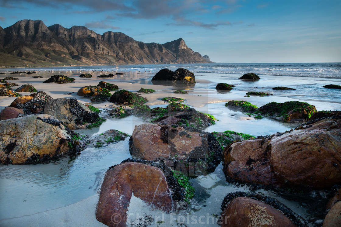 "Landscape photo of mountain range ending in the ocean with rocks" by Charl Folscher - £12.40 "Landscape photo of mountain range ending in the ocean with rocks" stock image
