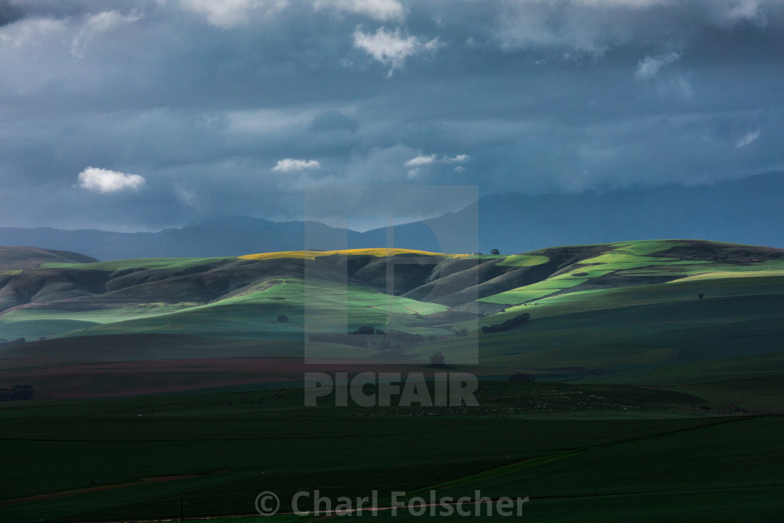 "Winter Green and Gold" by Charl Folscher - £12.40 "Winter Green and Gold" stock image