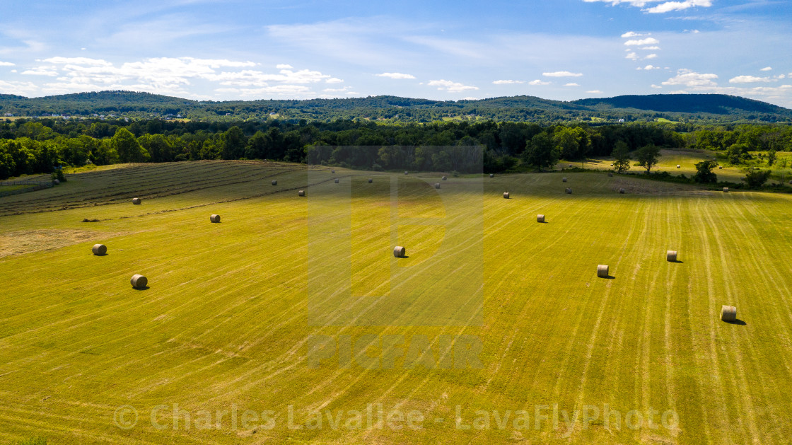 "Making Hay" stock image