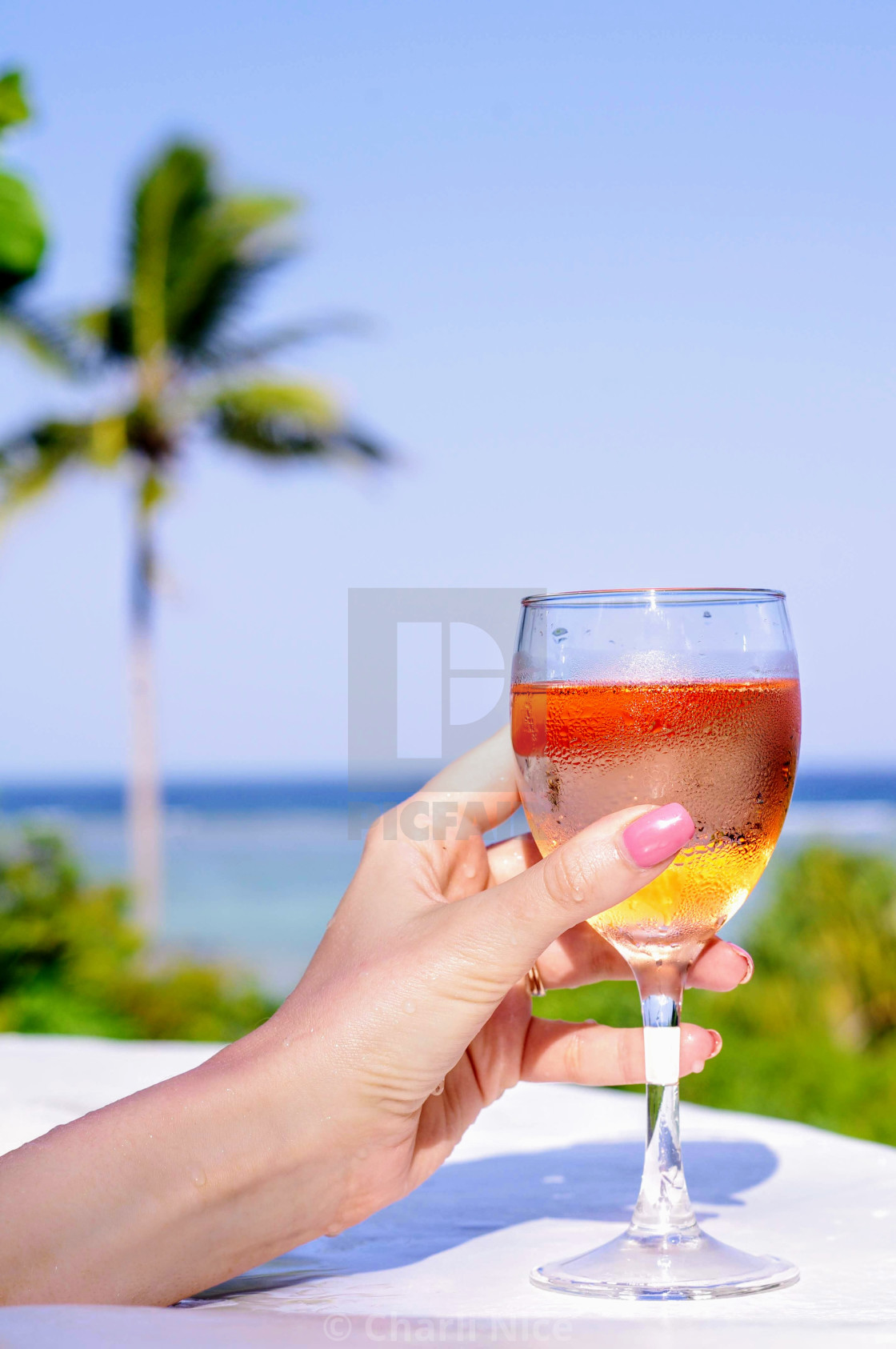 "Rose All Day" stock image
