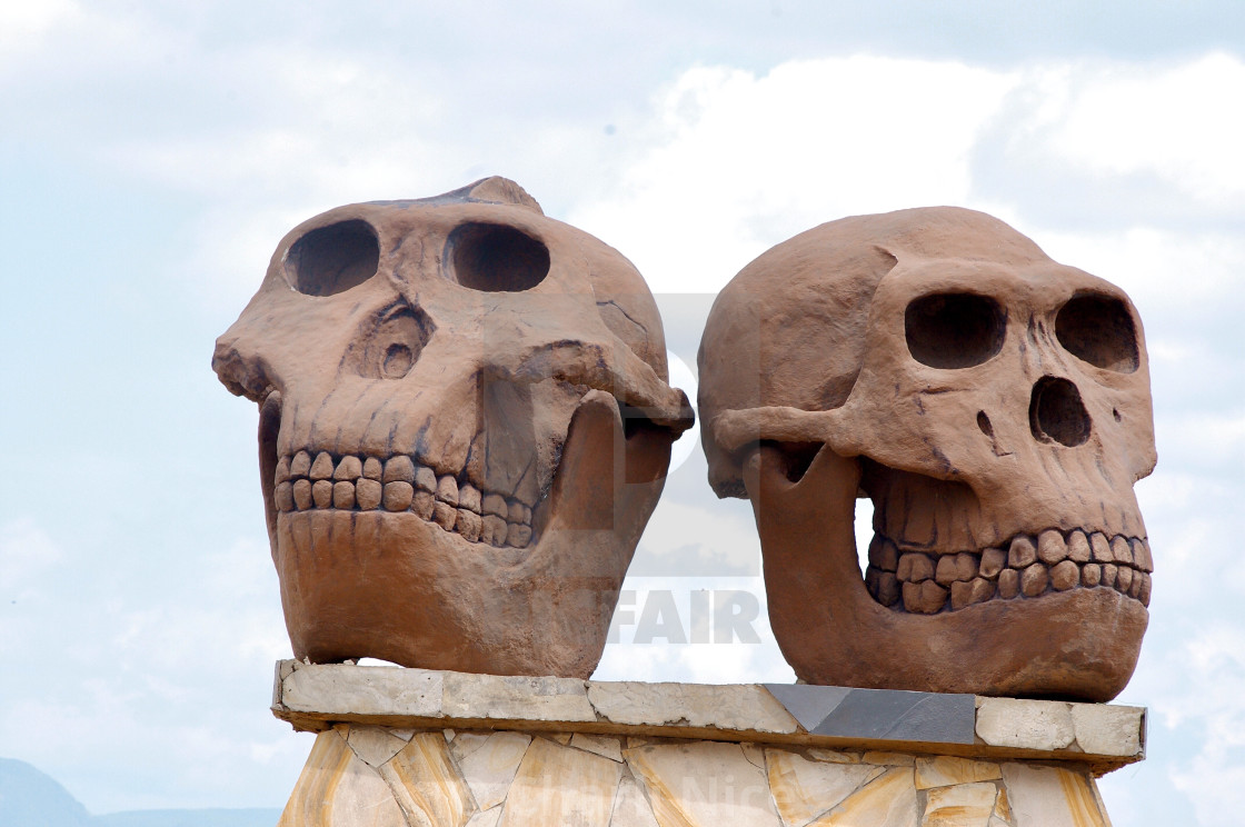 "Olduvai Gorge" stock image