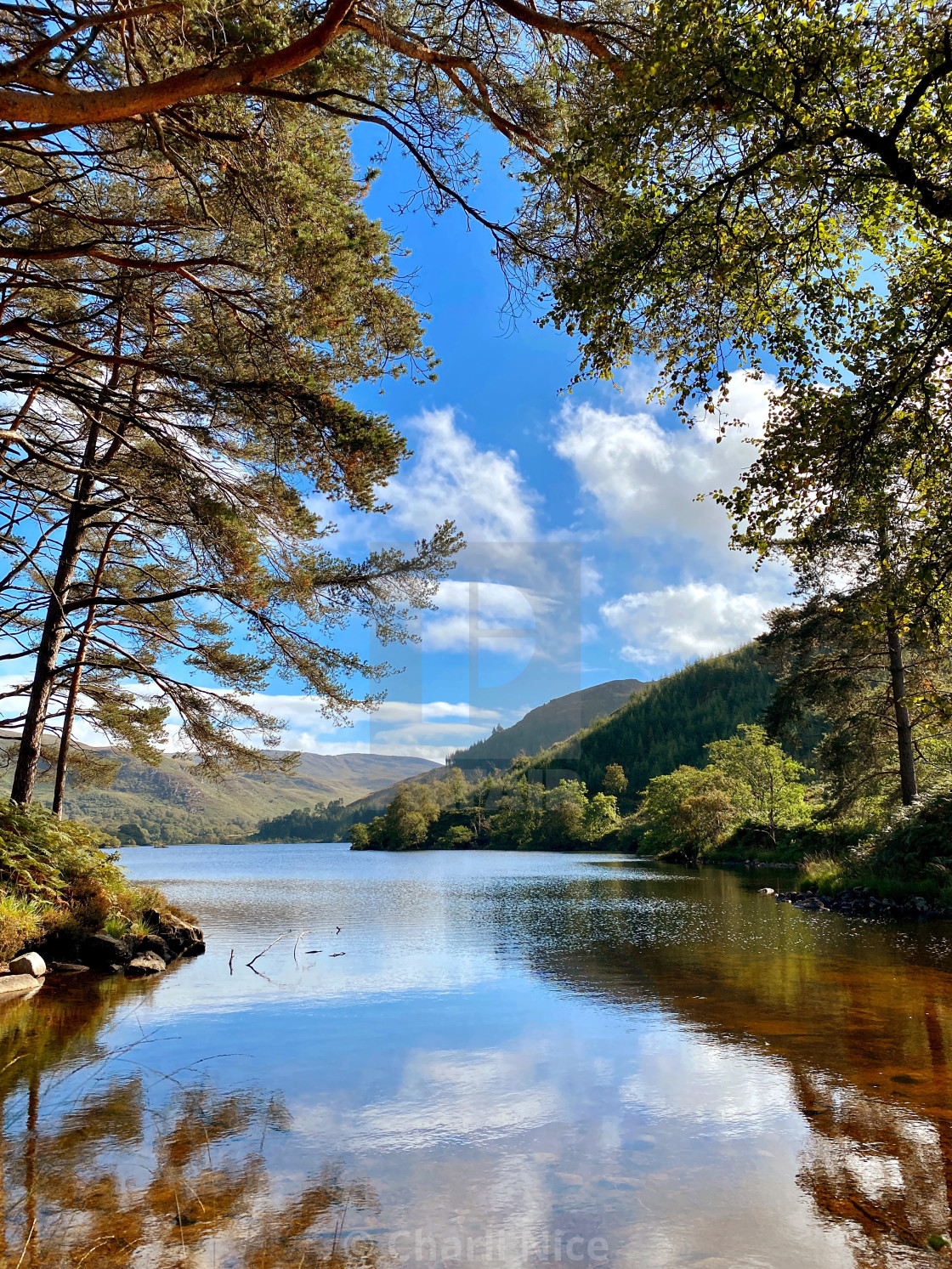 "Loch Trool" stock image