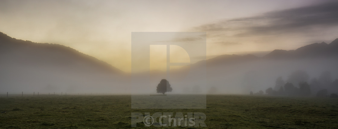 "Sunrise with a tree" stock image