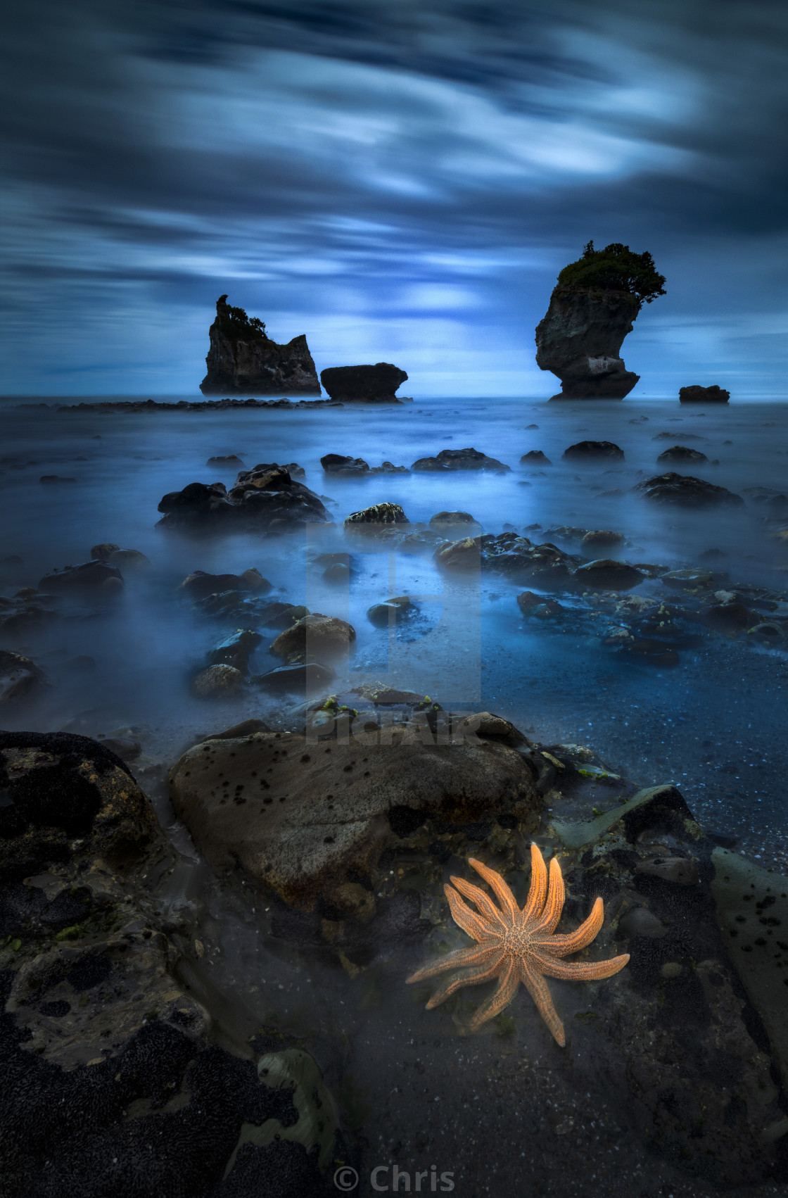 "Starfish seascape photography New Zealand" stock image