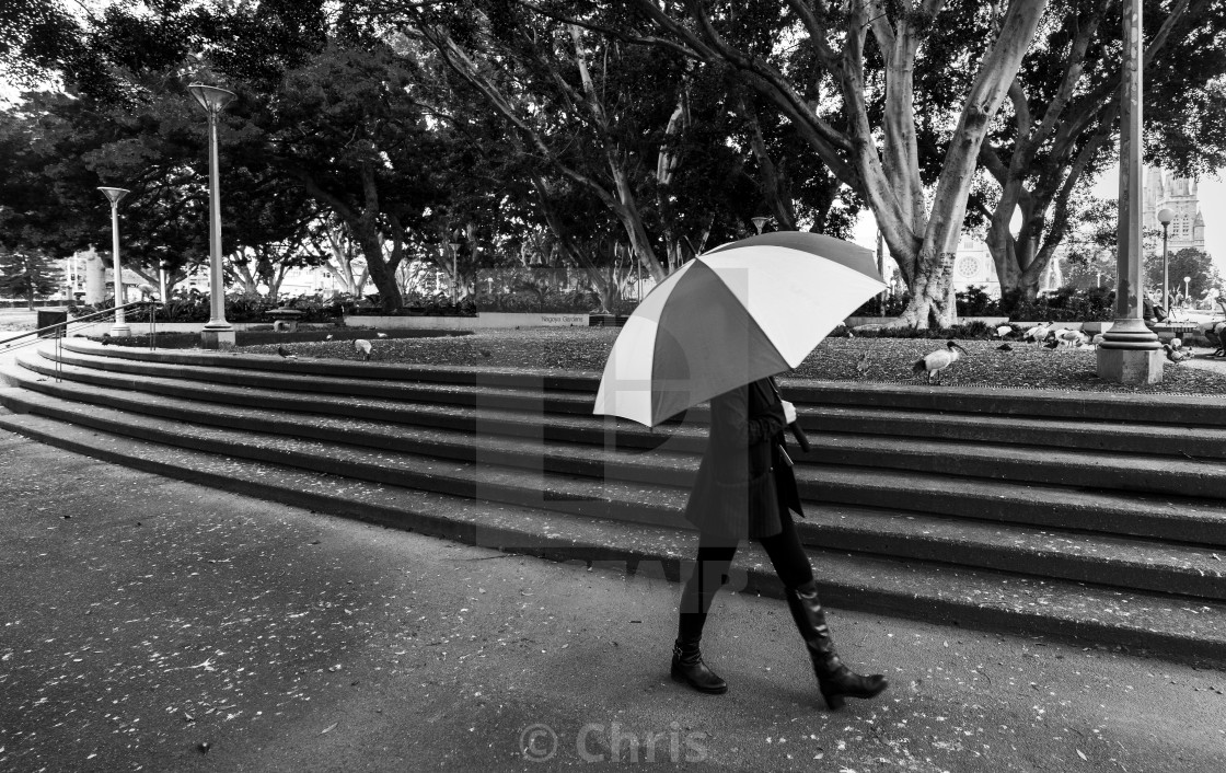 "Walking umbrella" stock image